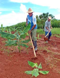 Fotos: Jorge Luis Gonzlez