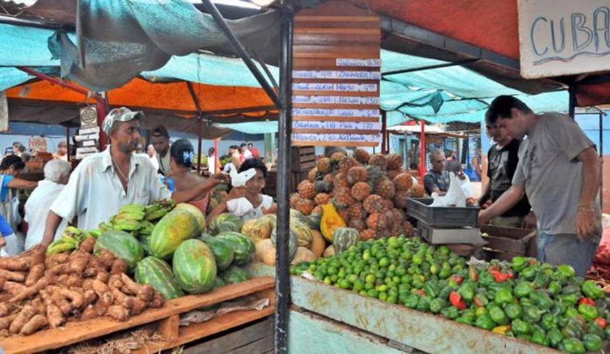 Trabajo sobre el peso y las pesas, recorrido por la ciudad y diferentes agros y municipios Marianao, 10 de octubre , cerro, San miguel y plaza. Los mercados agropecuarios estn entre los sitios que los lectores reportan como ms deficientes en el pesaje de los productos. 
Fotos: RICARDO LPEZ?HEVIA